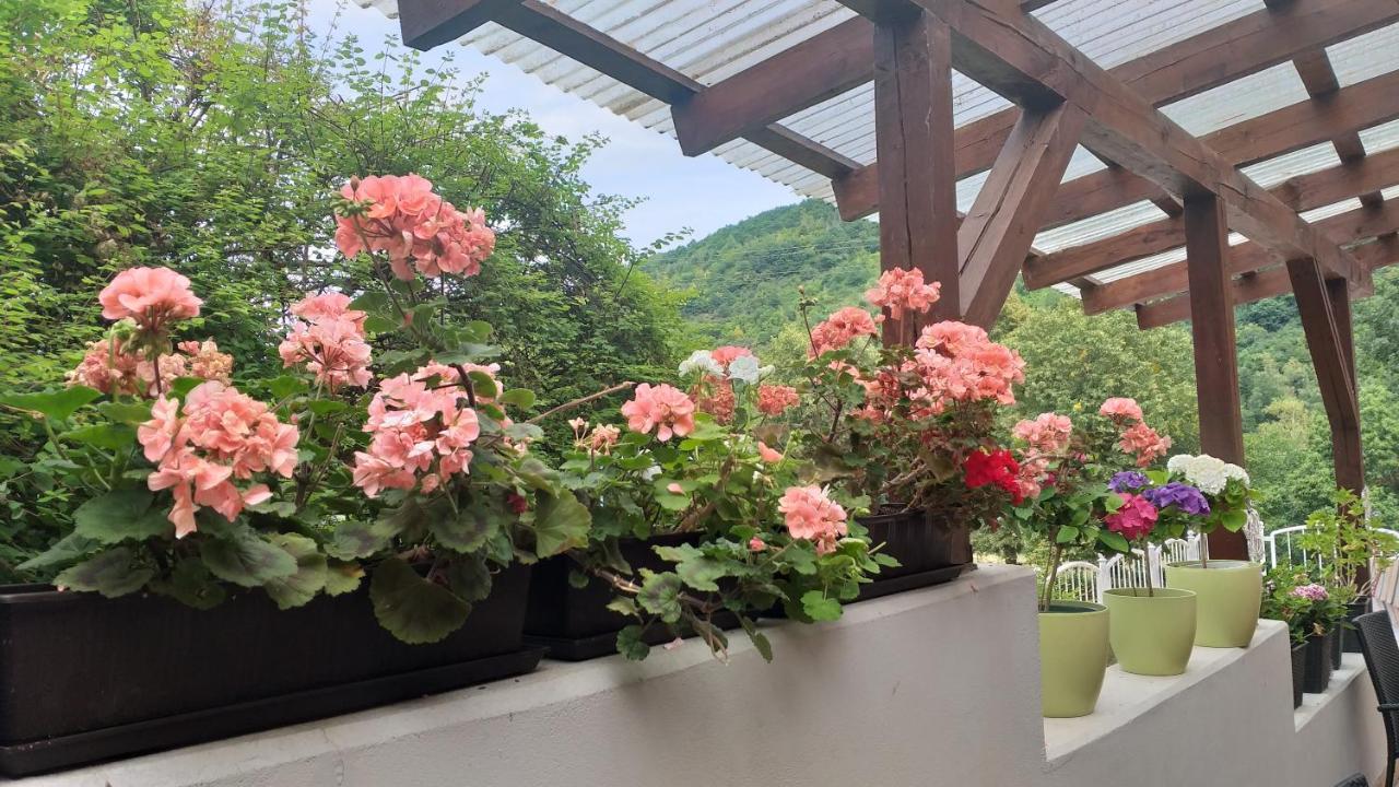 Moselina Gaestezimmer ザンクト・アルデグント エクステリア 写真