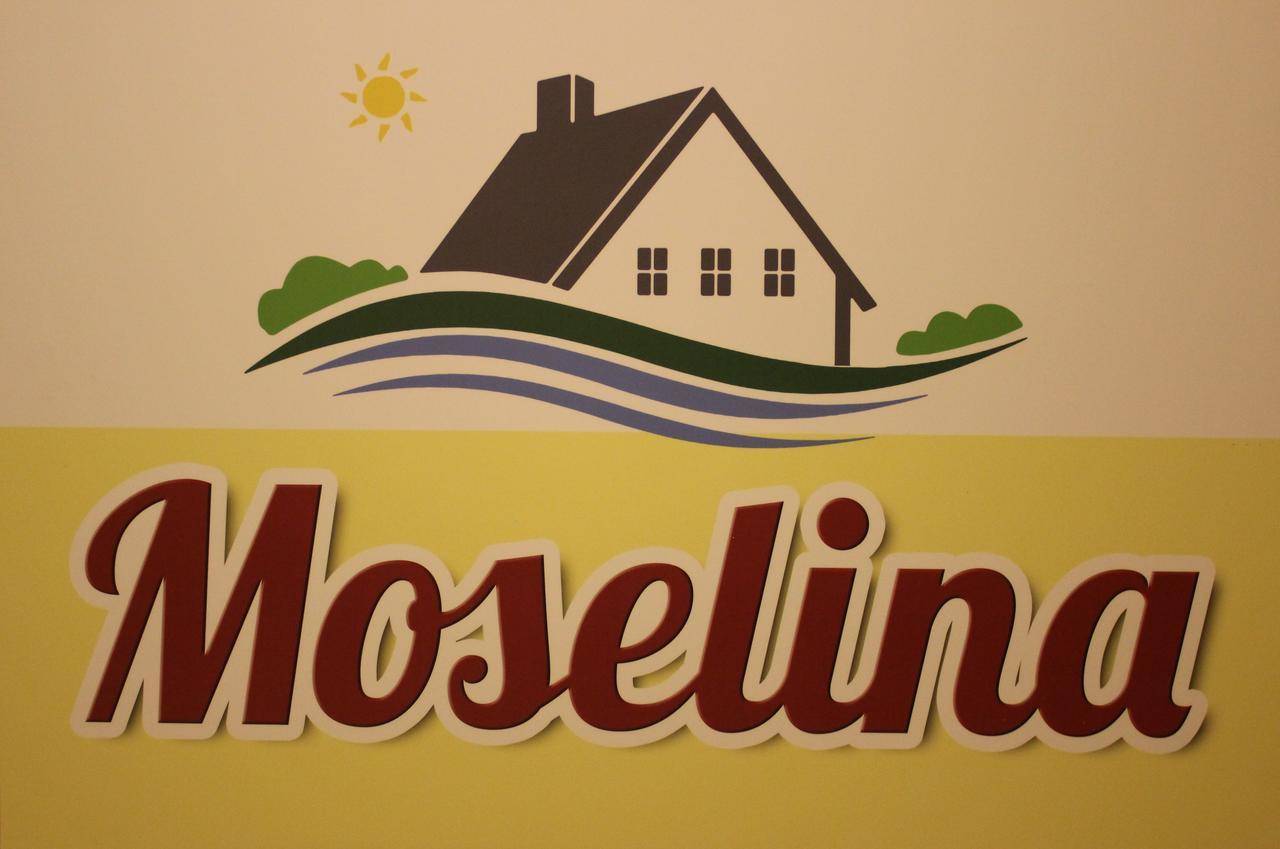 Moselina Gaestezimmer ザンクト・アルデグント エクステリア 写真